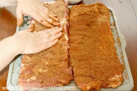 Dry-Rub-Ribs-Seasoning