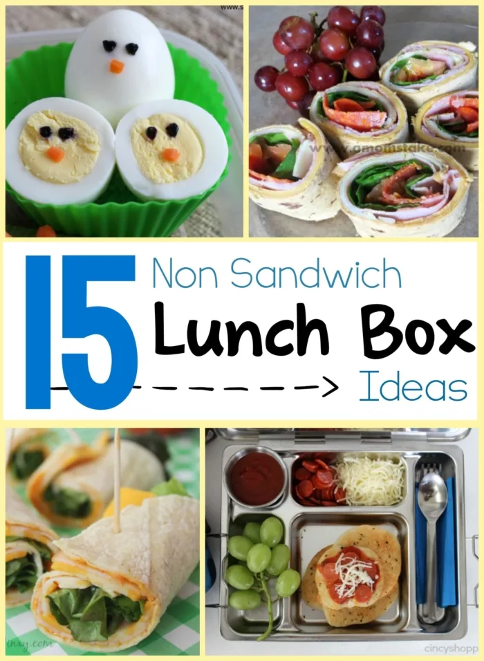 Easy Kid Lunch Box Ideas ( that aren't sandwiches!) - Honest Grub