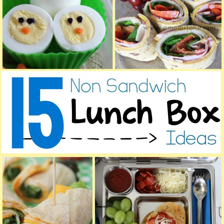 15 great lunch ideas for when sandwiches start to get boring. Perfect for school or work!