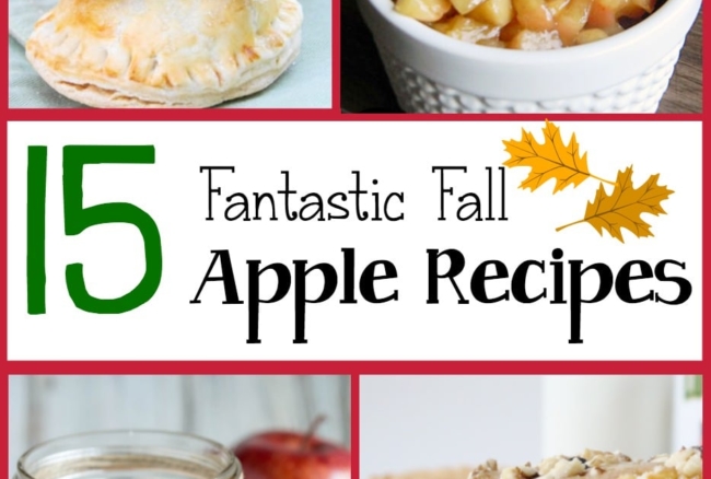 A round-up of 15 delicious recipes using apples - perfect for fall!