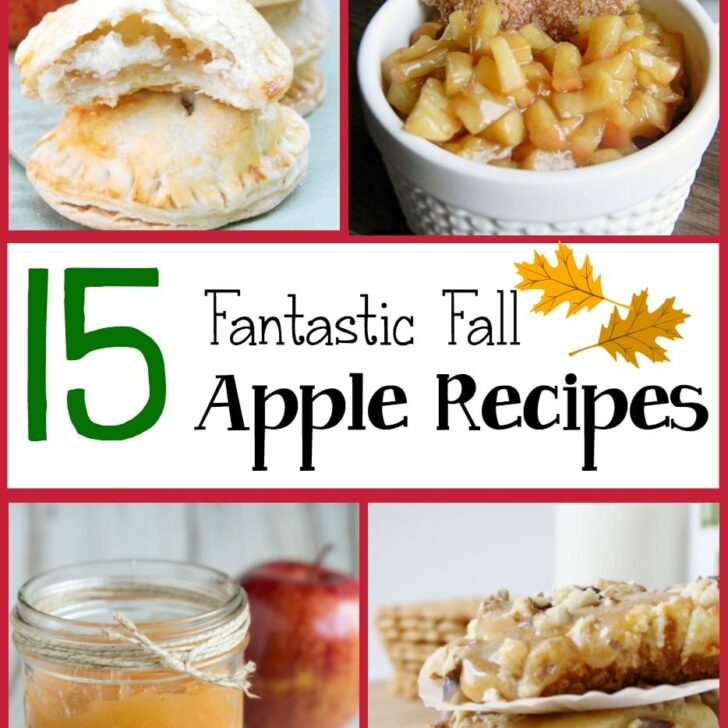 A round-up of 15 delicious recipes using apples - perfect for fall!