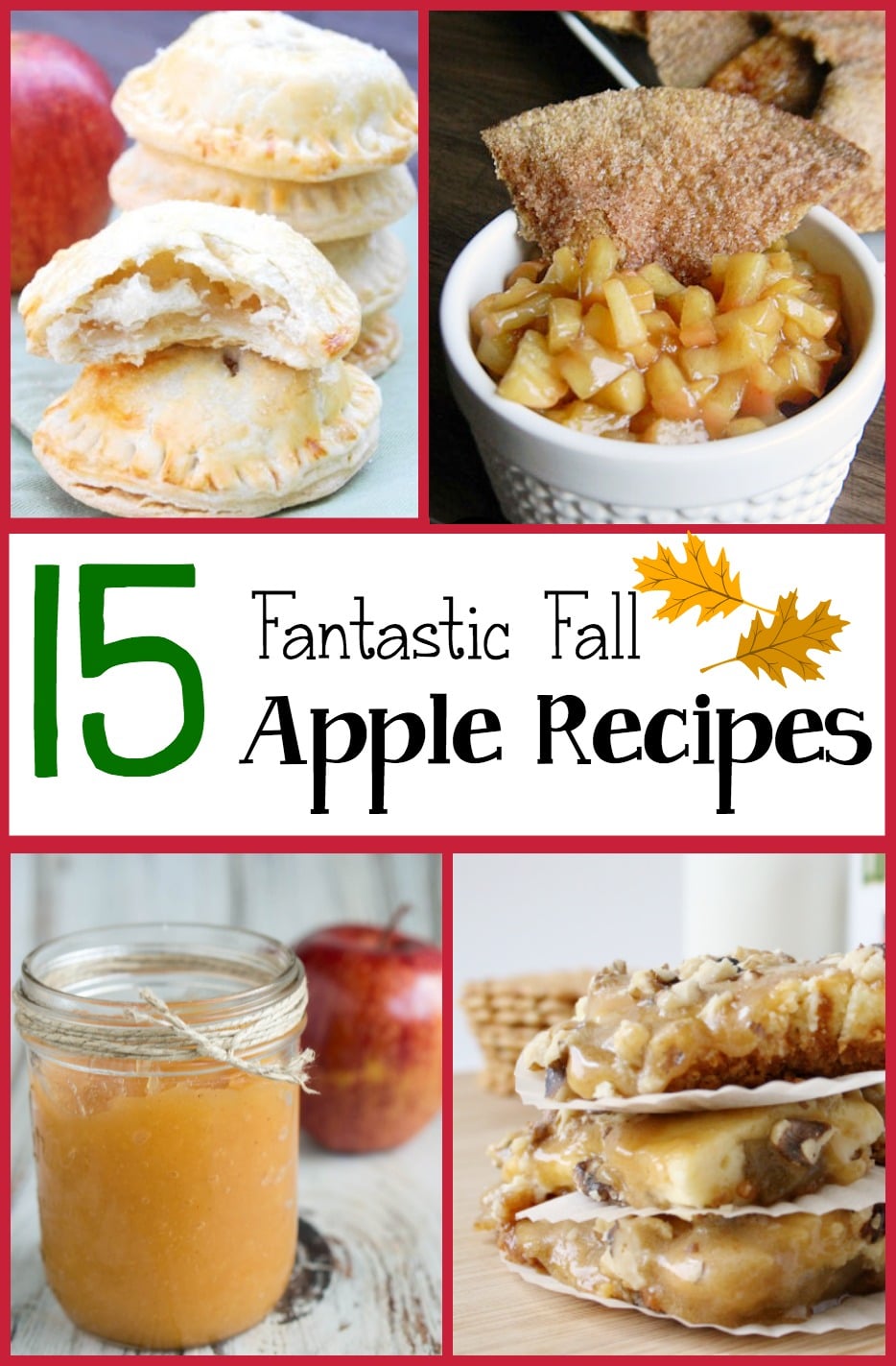 A round-up of 15 delicious recipes using apples - perfect for fall!