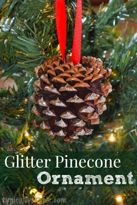 Snowy, Sparkly Pine Cone Ornaments