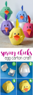 Grab some egg cartons, paint, and a few basic craft supplies to make these super cute spring chicks! A fun kids' craft project to make for Easter or as a rainy day activity! {ad}