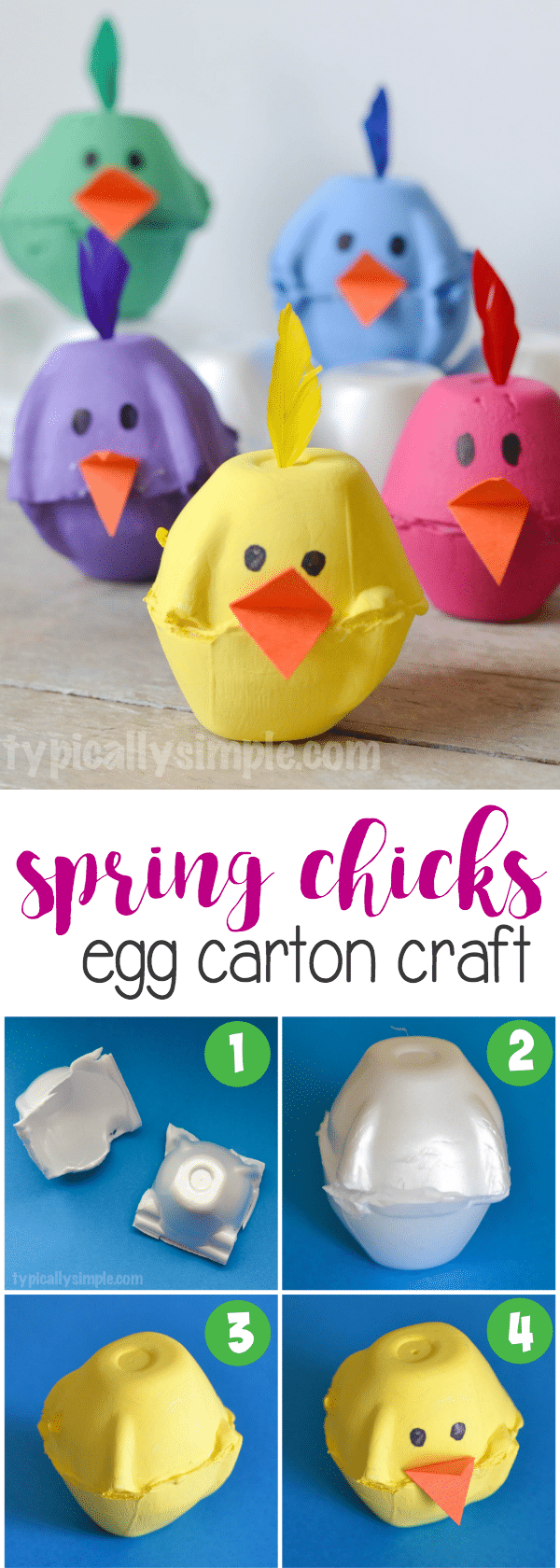 Spring Chicks Egg Carton Craft Typically Simple