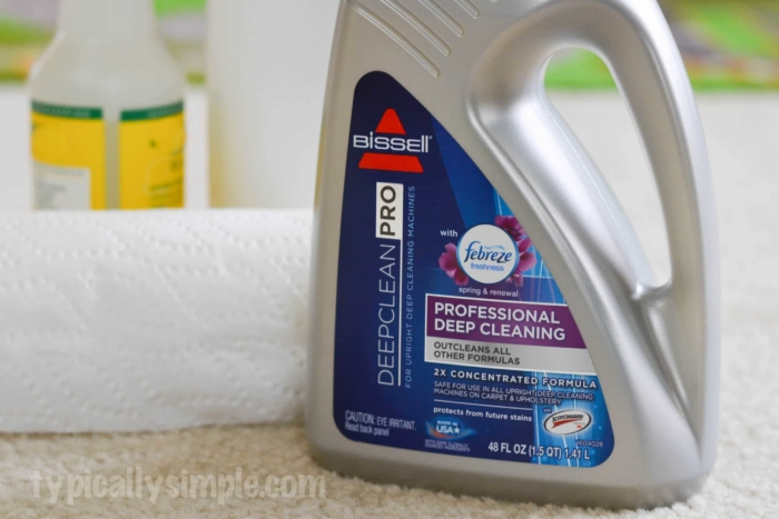 Wash Away Winter with BISSELL-4