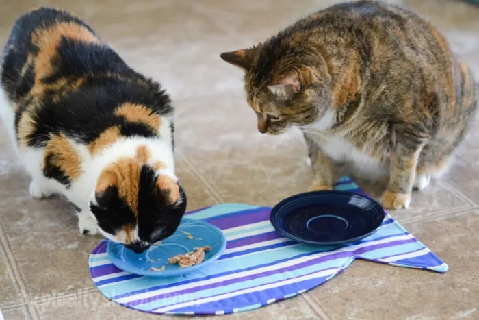 Cat Dish Placemat Tutorial