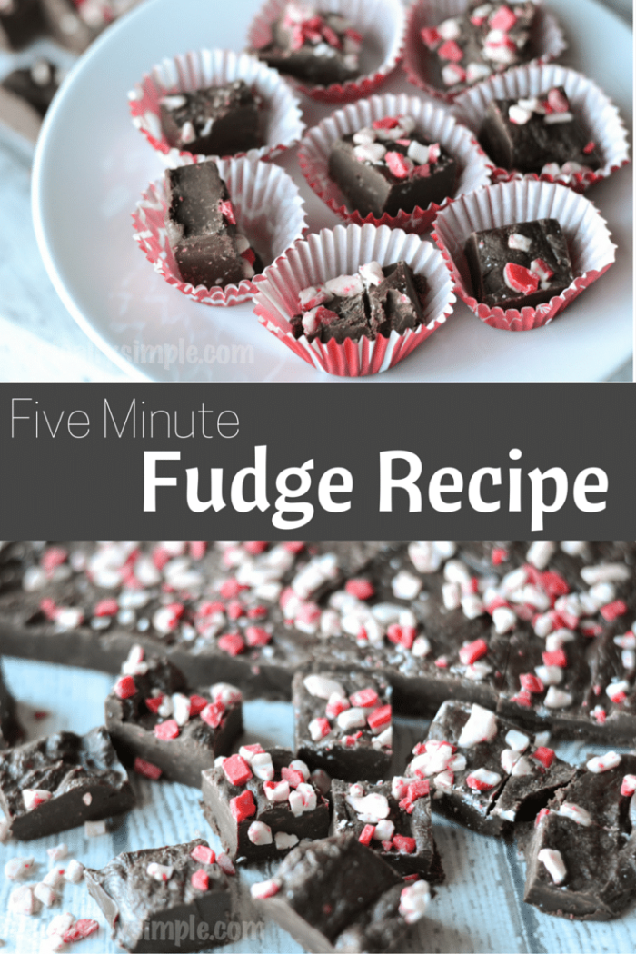 Using just three main ingredients, this five minute fudge recipe is a perfect treat for the holidays!