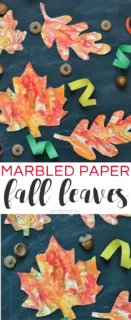 Grab a few supplies and make these unique marbled paper fall leaves with the kids! A fun craft project for fall!