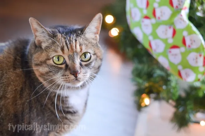 Christmas Stocking Sewing Tutorial