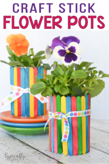 craft project using craft sticks to make a colorful flower pot