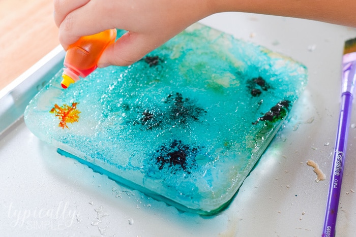 2 Kid-Friendly Salt and Ice Science Experiments - The Happy